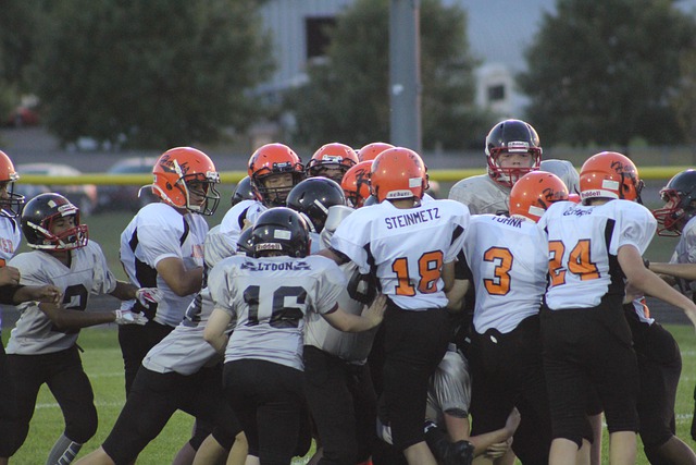 革无疑将为 革无疑将为