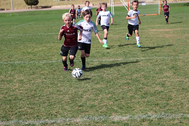 于自己的辉 于自己的辉