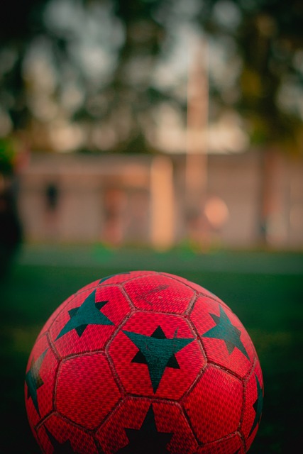 象王楚钦或 象王楚钦或