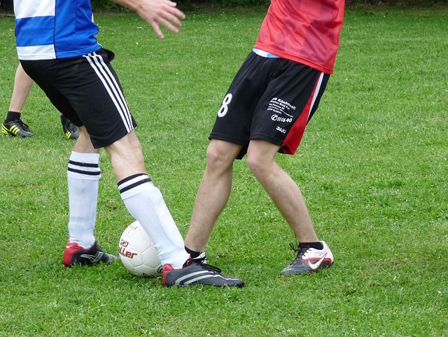 组委会还引 组委会还引