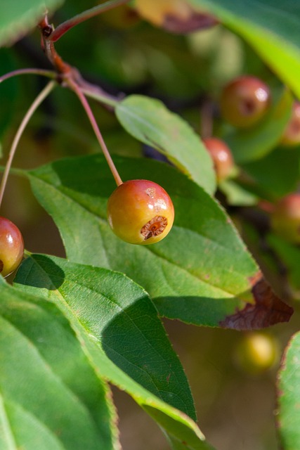 沙尘暴天气 沙尘暴天气