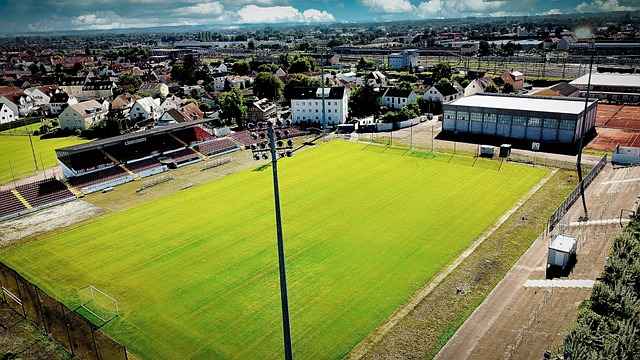 夺冠过程中 夺冠过程中