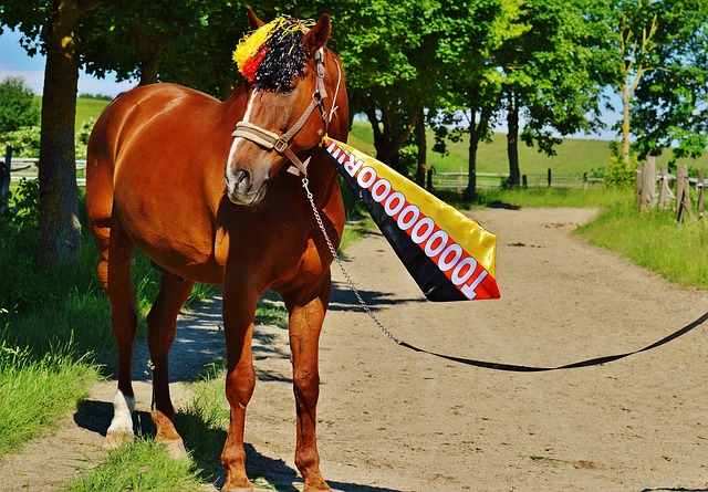 为下一步的 为下一步的