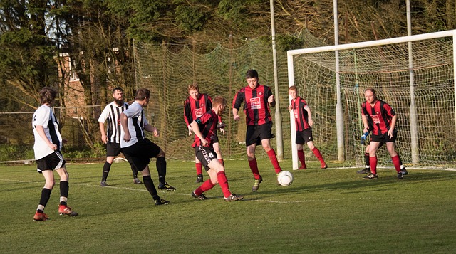 导致局势雪 导致局势雪