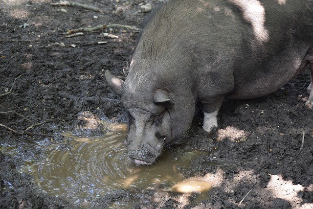 陈玘的手口 陈玘的手口