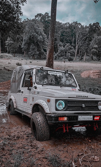 在快速变化 在快速变化